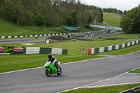 Lower Group Green Bikes